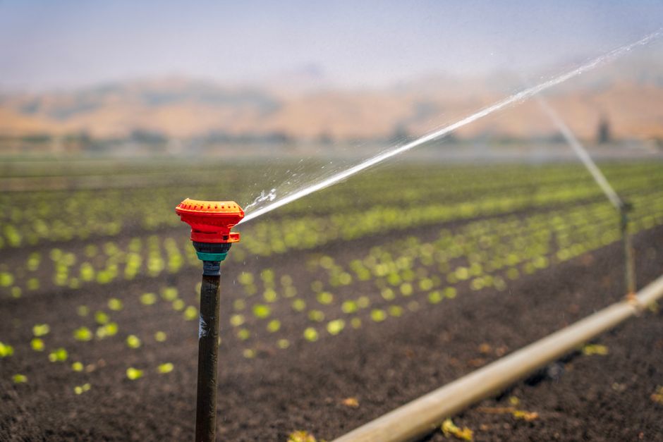 Smart Irrigation Systems for Terraces: Water Savings and Remote Scheduling